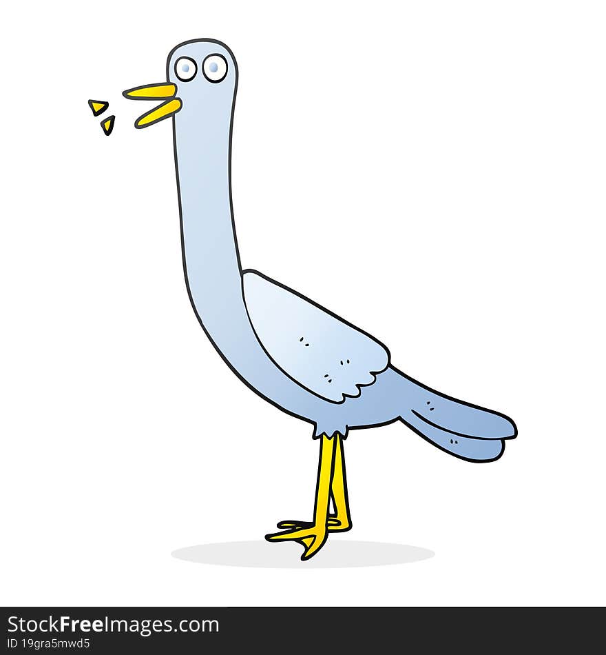 Cartoon Bird