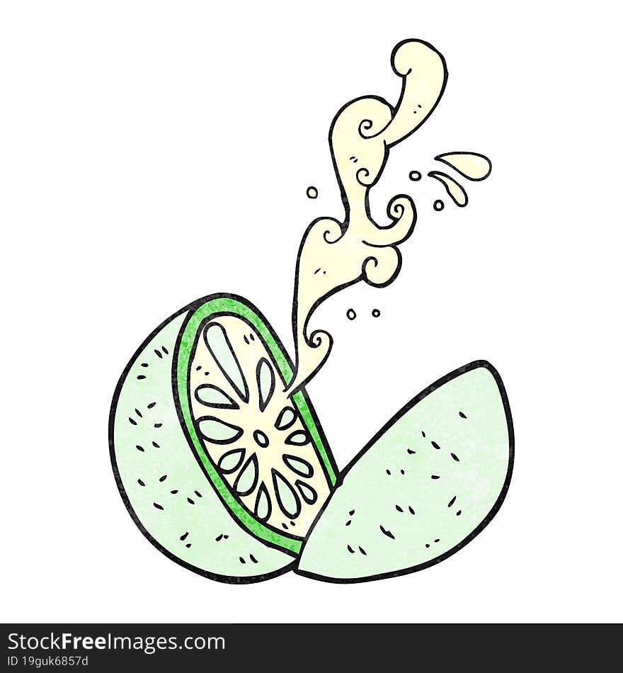 Texture Cartoon Melon