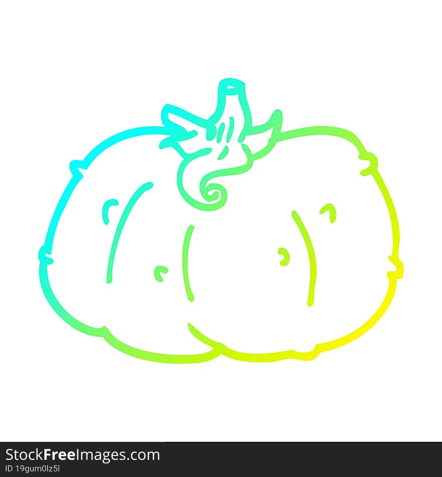 cold gradient line drawing cartoon winter squash