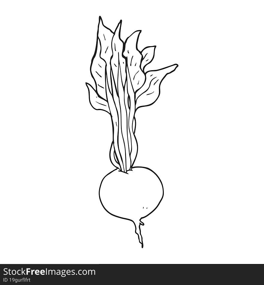 freehand drawn black and white cartoon beetroot