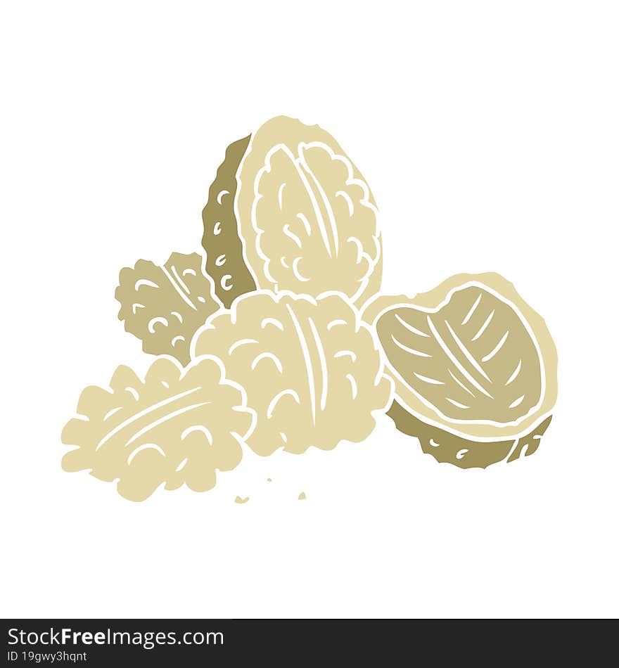 flat color style cartoon walnuts