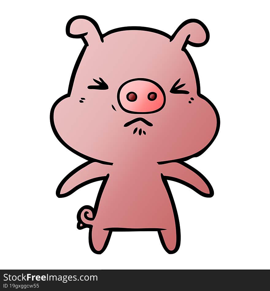 cartoon angry pig. cartoon angry pig