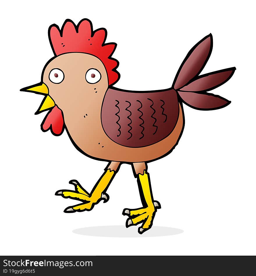 funny cartoon chicken