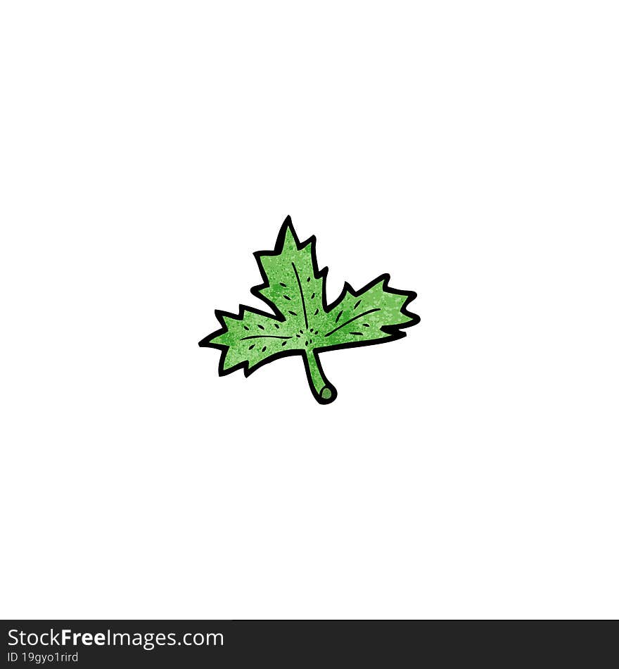 cartoon leaf