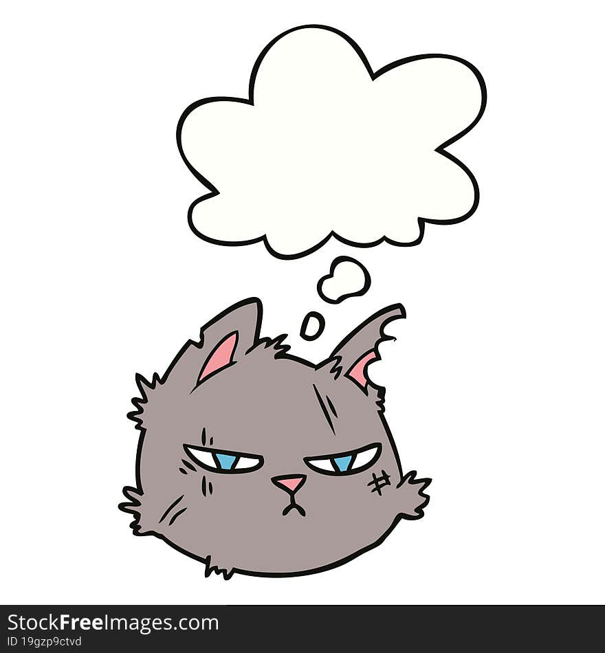 cartoon tough cat face with thought bubble. cartoon tough cat face with thought bubble