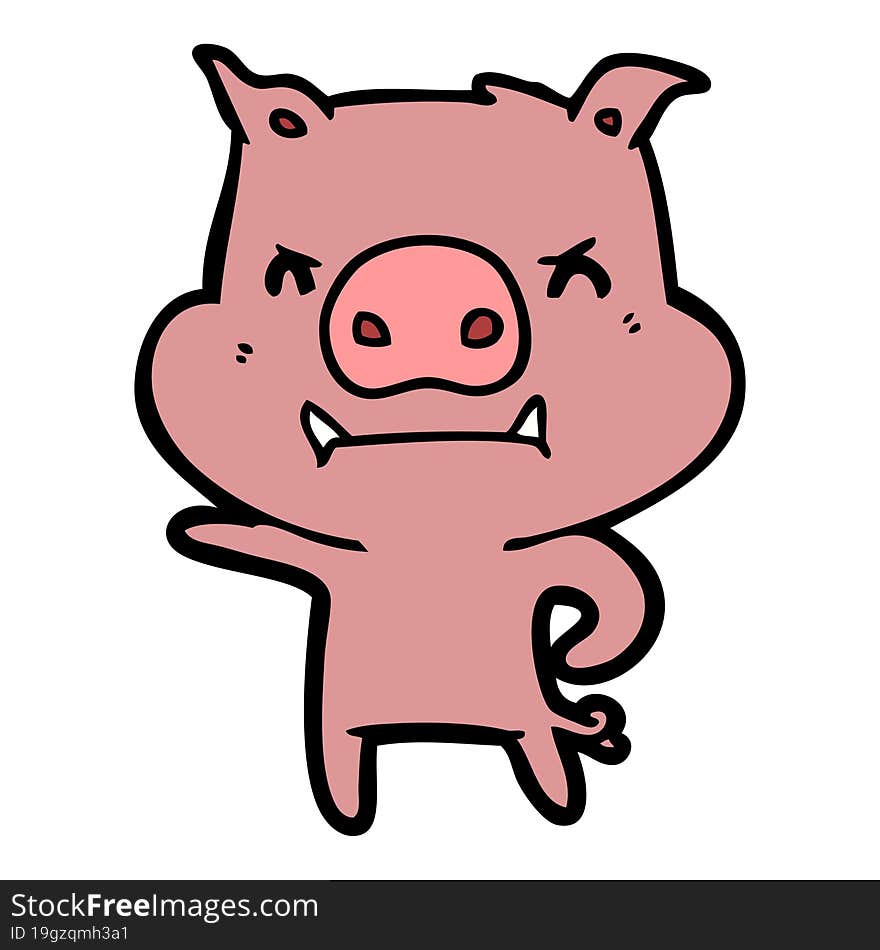 angry cartoon pig. angry cartoon pig