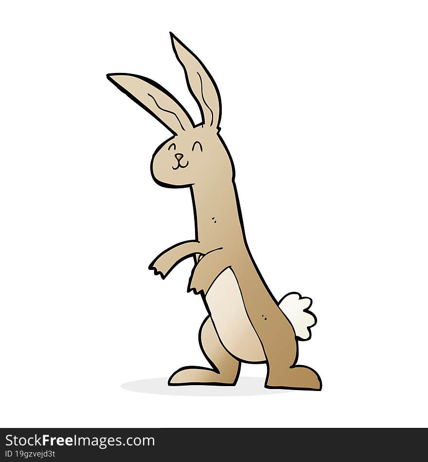 Cartoon Rabbit