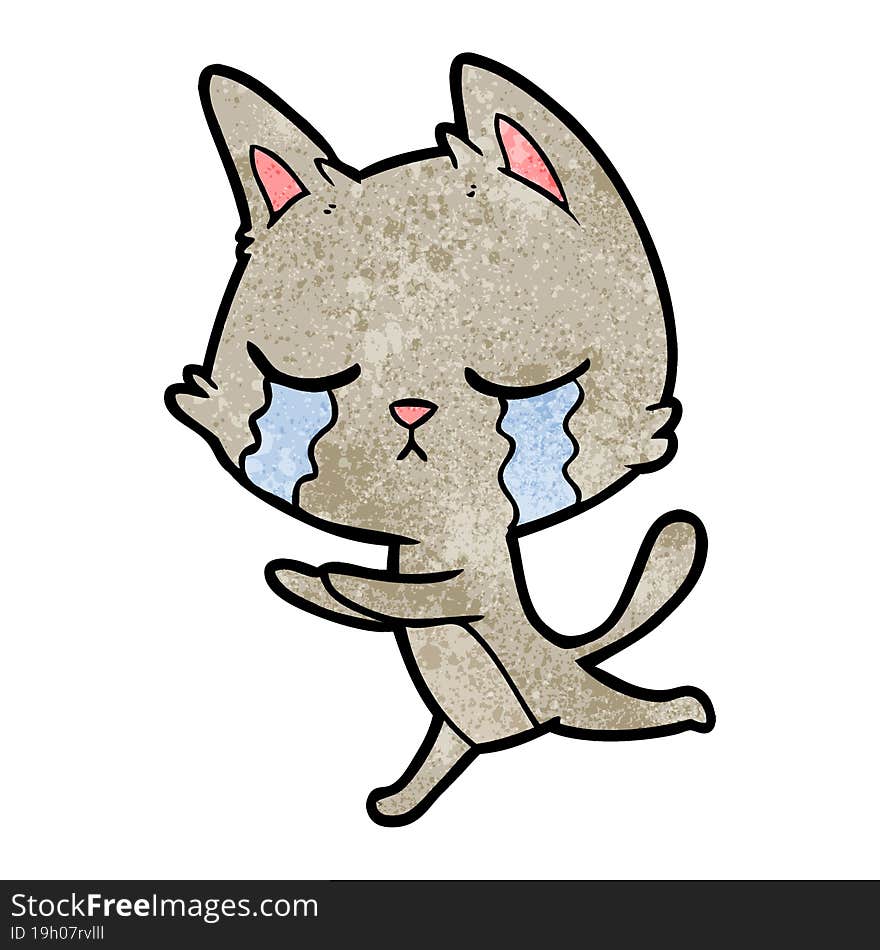 crying cartoon cat running. crying cartoon cat running