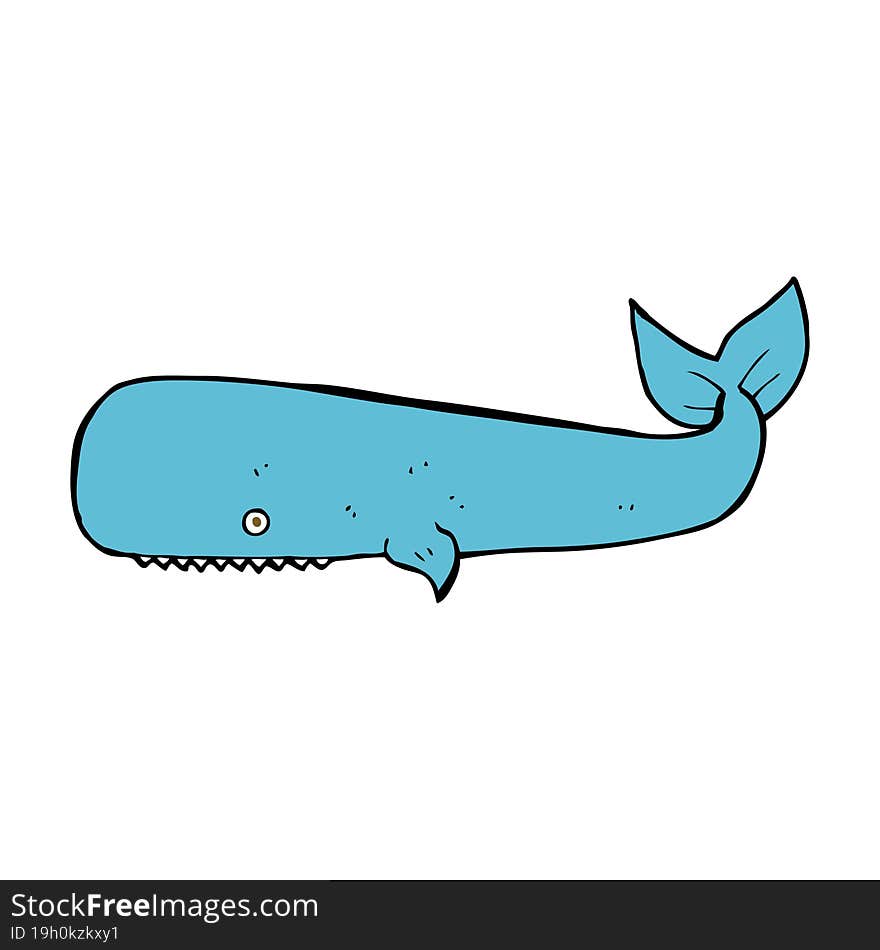 cartoon whale