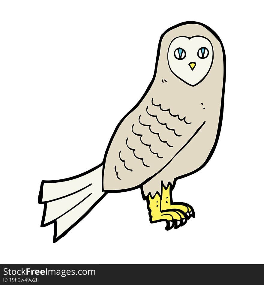 cartoon owl