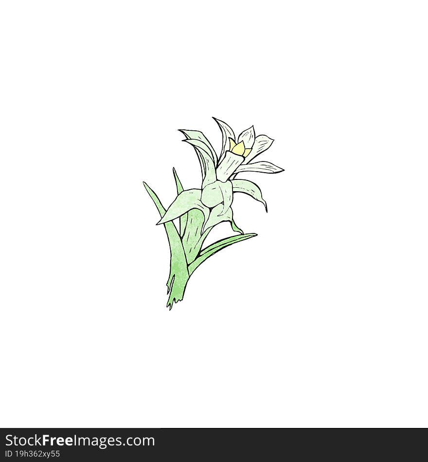 Flowers Illustration