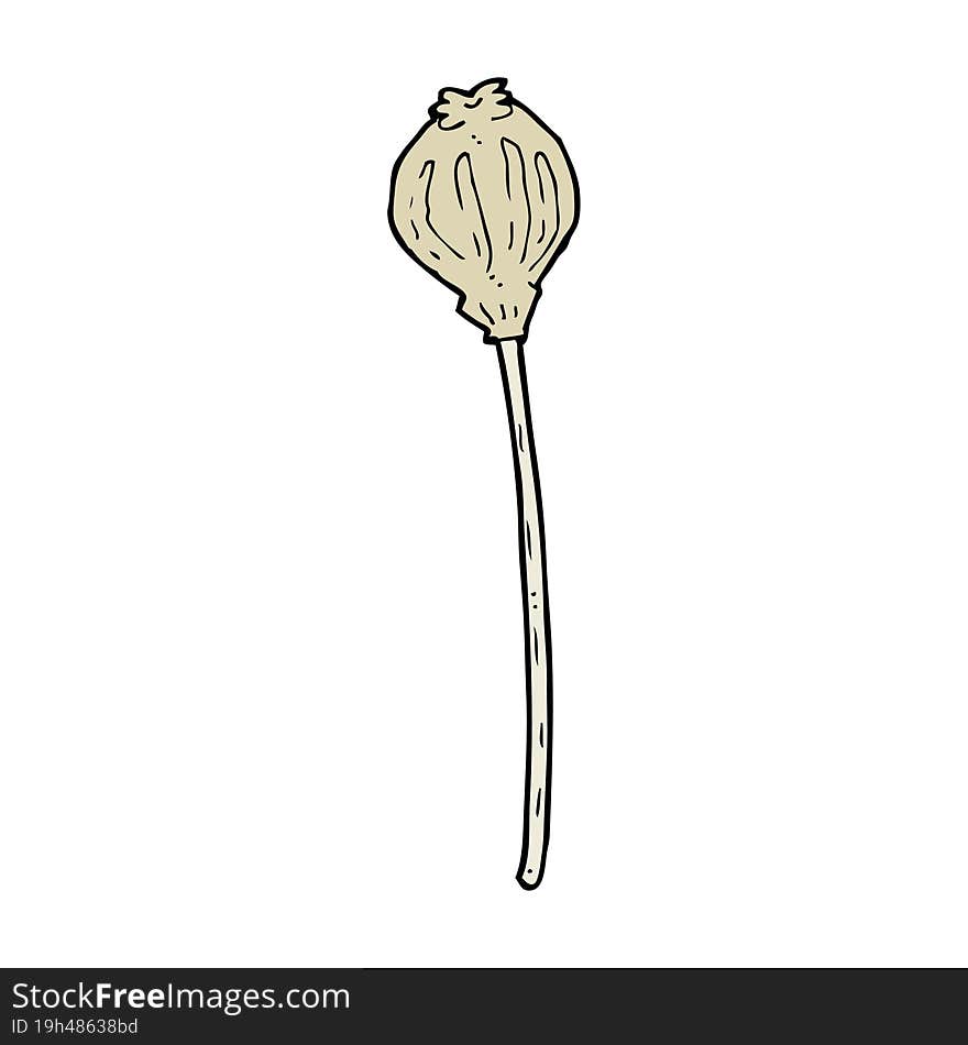 Cartoon Dried Poppy