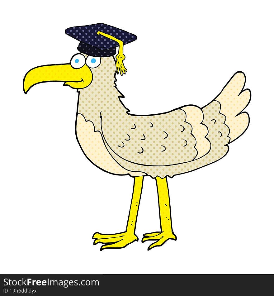 freehand drawn cartoon seagull with graduate cap