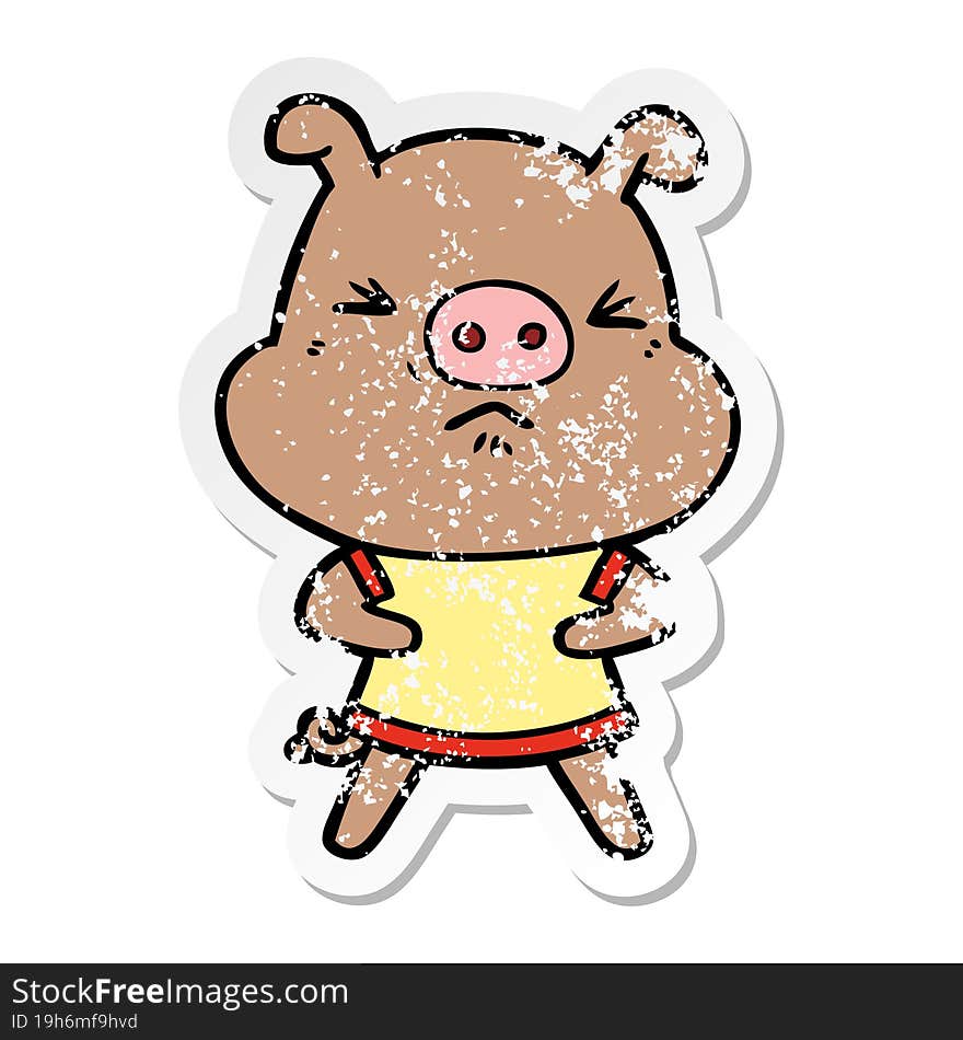 distressed sticker of a cartoon angry pig wearing tee shirt