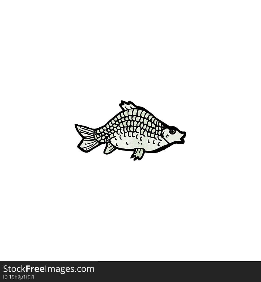 Fish Illustration