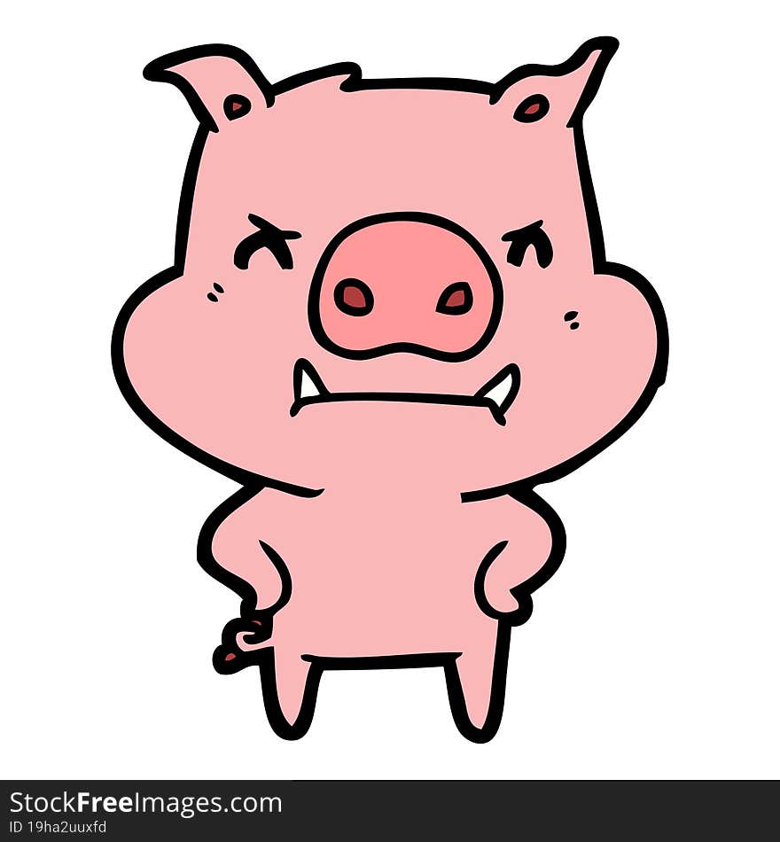 angry cartoon pig. angry cartoon pig