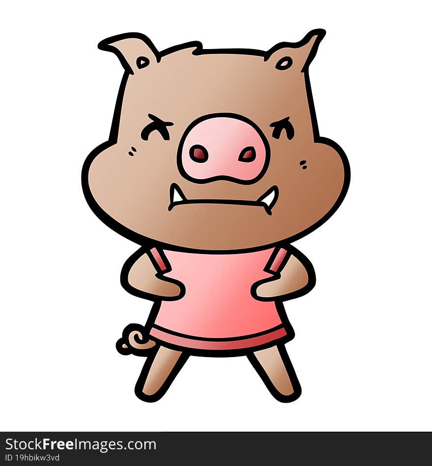 angry cartoon pig. angry cartoon pig