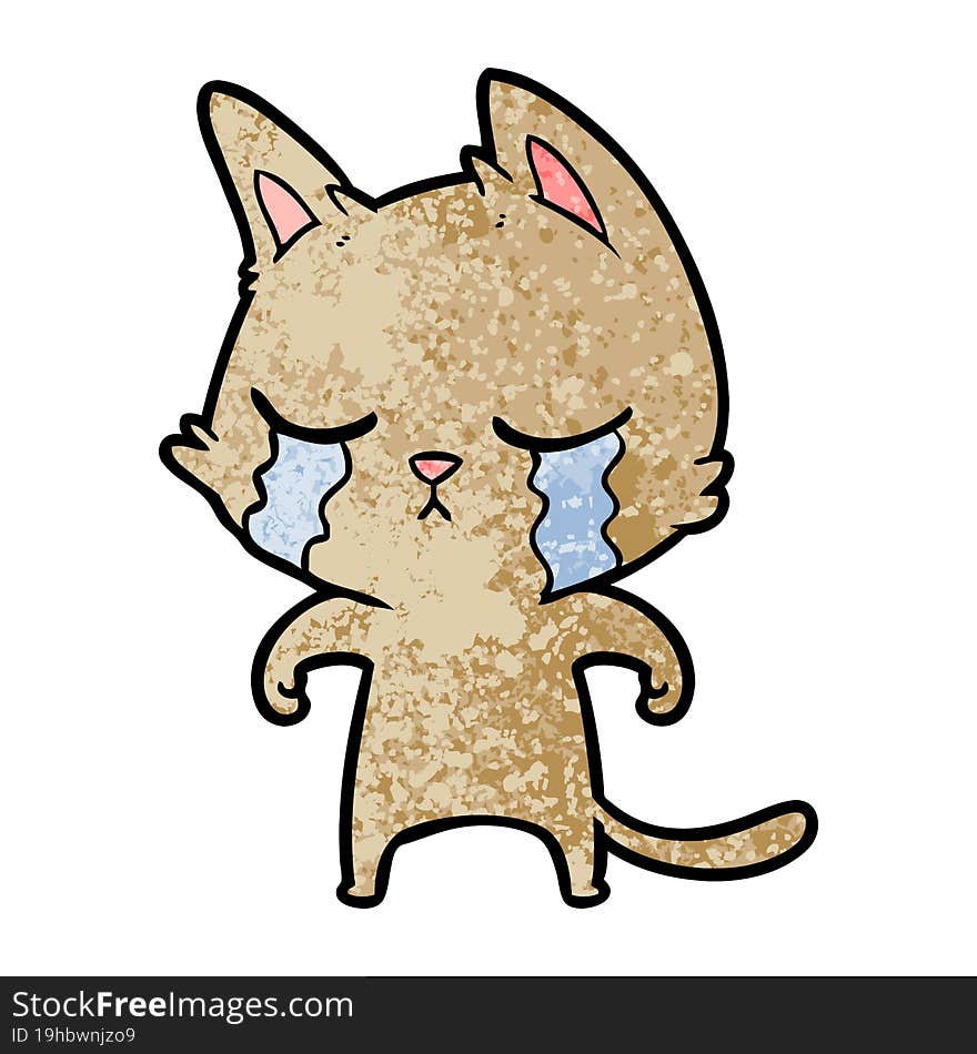 crying cartoon cat. crying cartoon cat