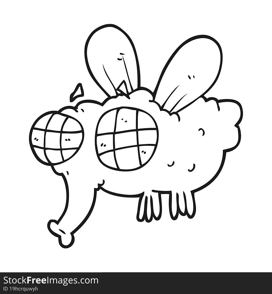 black and white cartoon fly