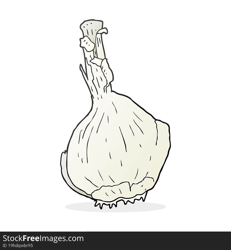 cartoon garlic