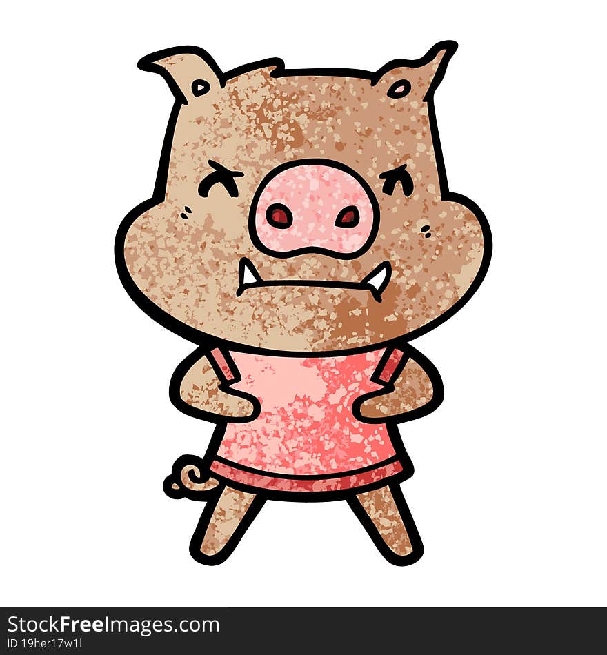 angry cartoon pig. angry cartoon pig