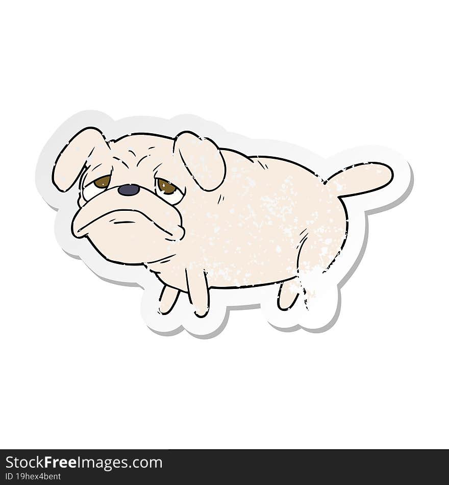 distressed sticker of a cartoon unhappy pug dog