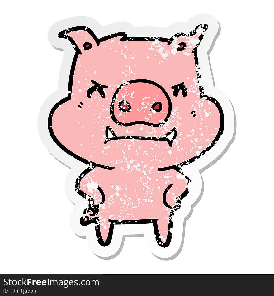 distressed sticker of a angry cartoon pig