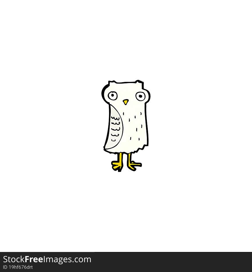 Cartoon Little Owl