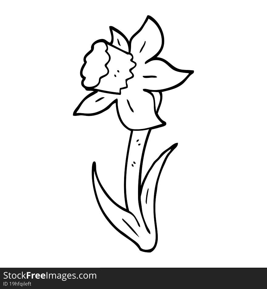 black and white cartoon daffodil