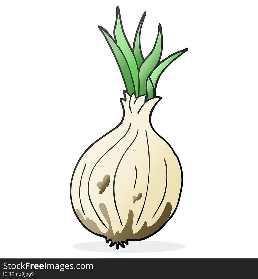 freehand drawn cartoon onion