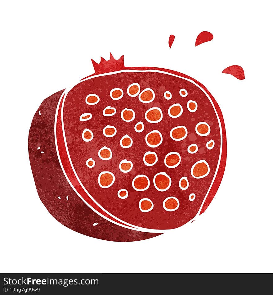 freehand retro cartoon pomegranate