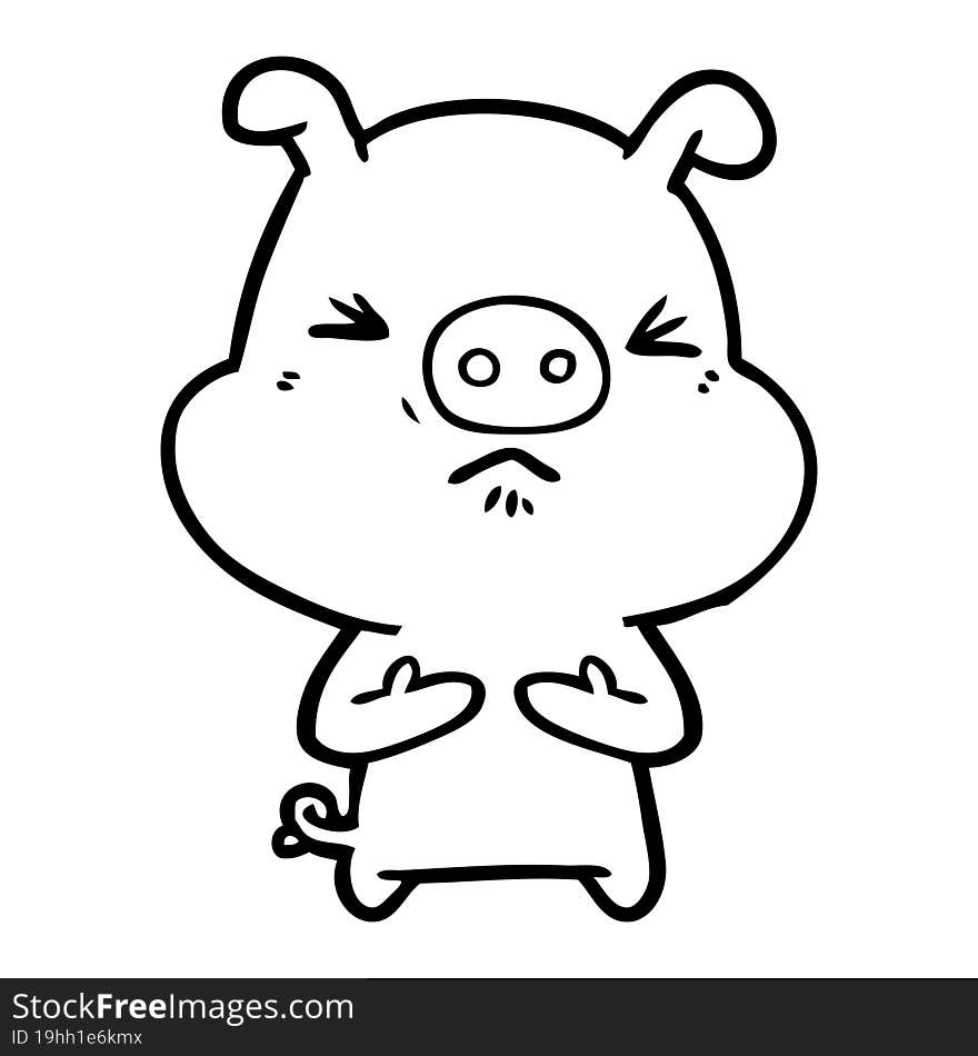 cartoon angry pig. cartoon angry pig