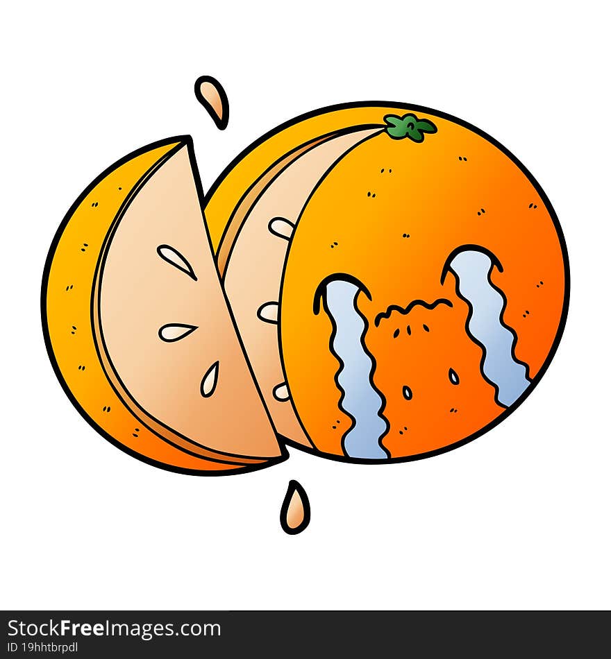 cartoon orange. cartoon orange