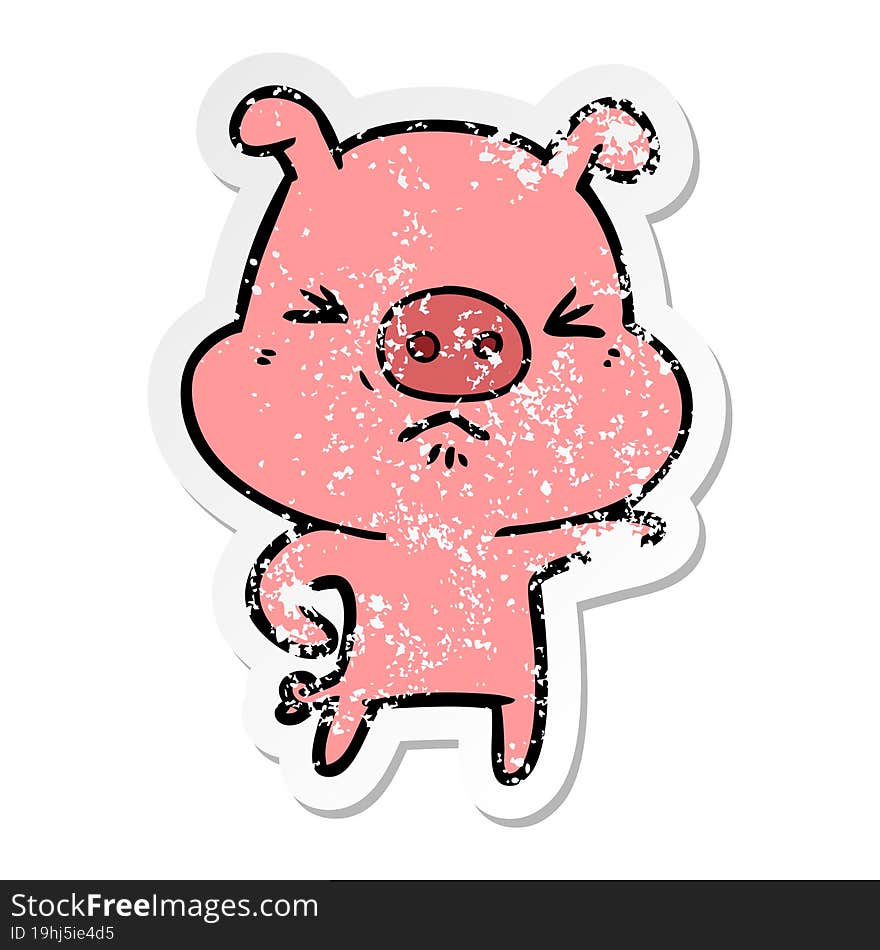 distressed sticker of a cartoon angry pig