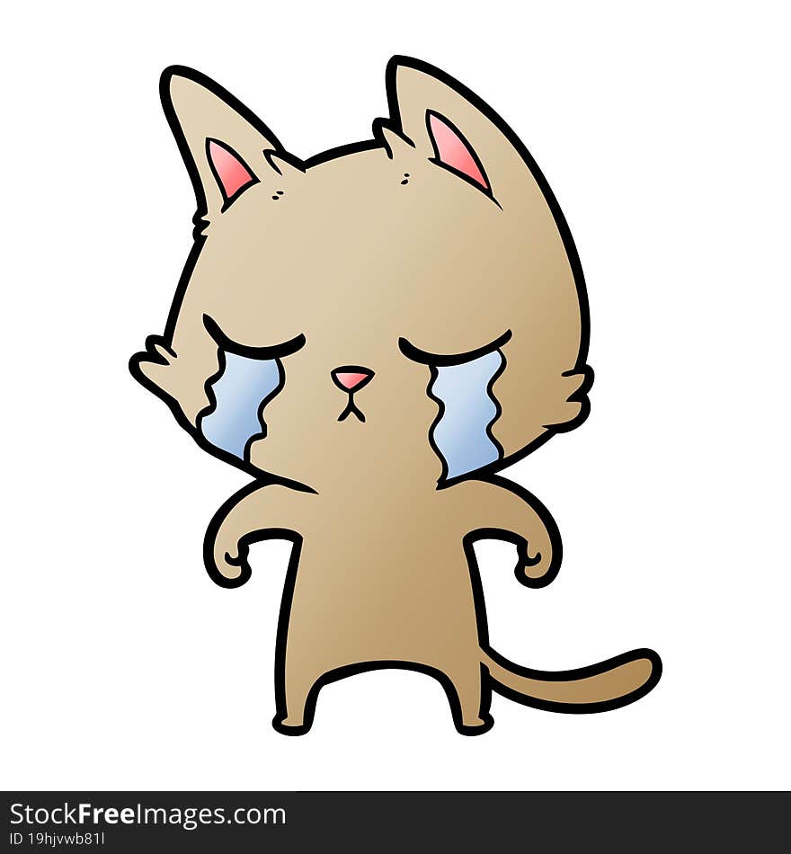 crying cartoon cat. crying cartoon cat