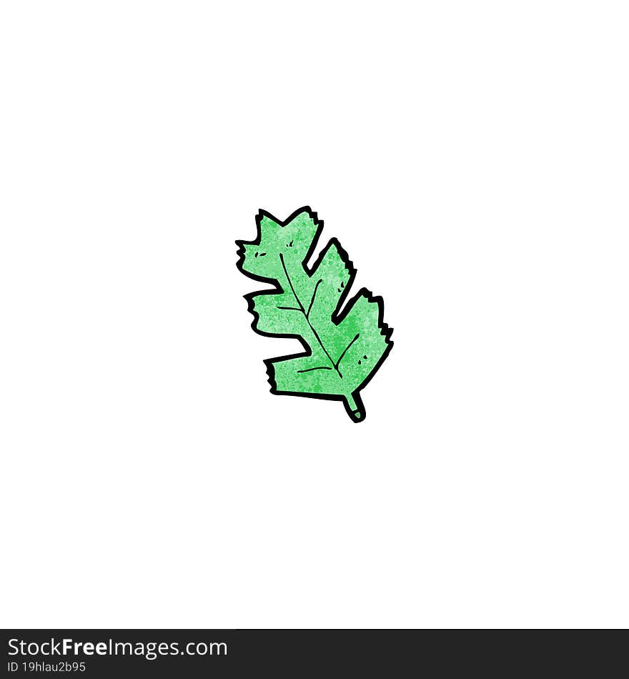 Cartoon Leaf