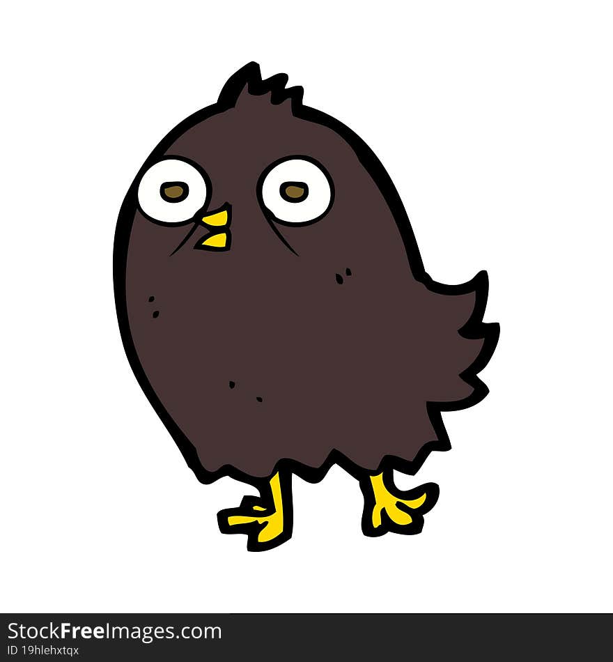 funny cartoon bird