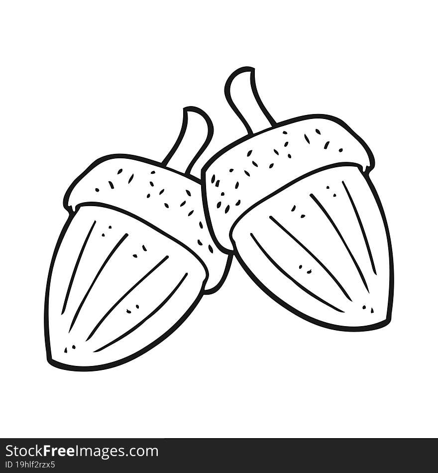 black and white cartoon acorns