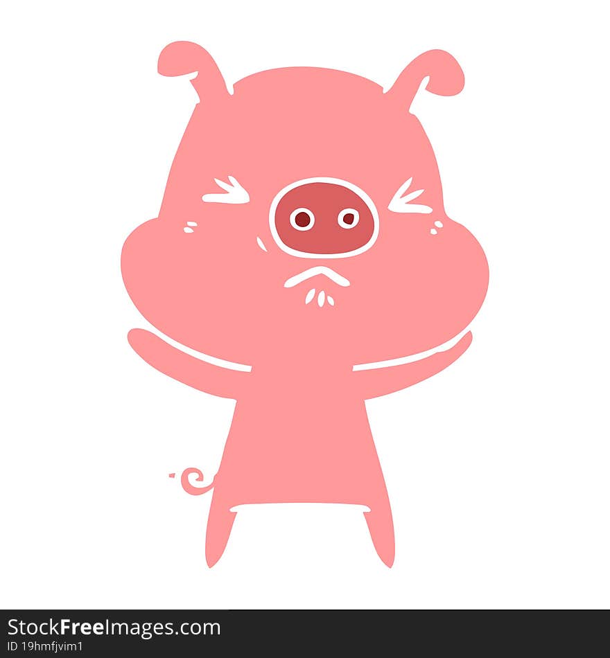 Flat Color Style Cartoon Angry Pig