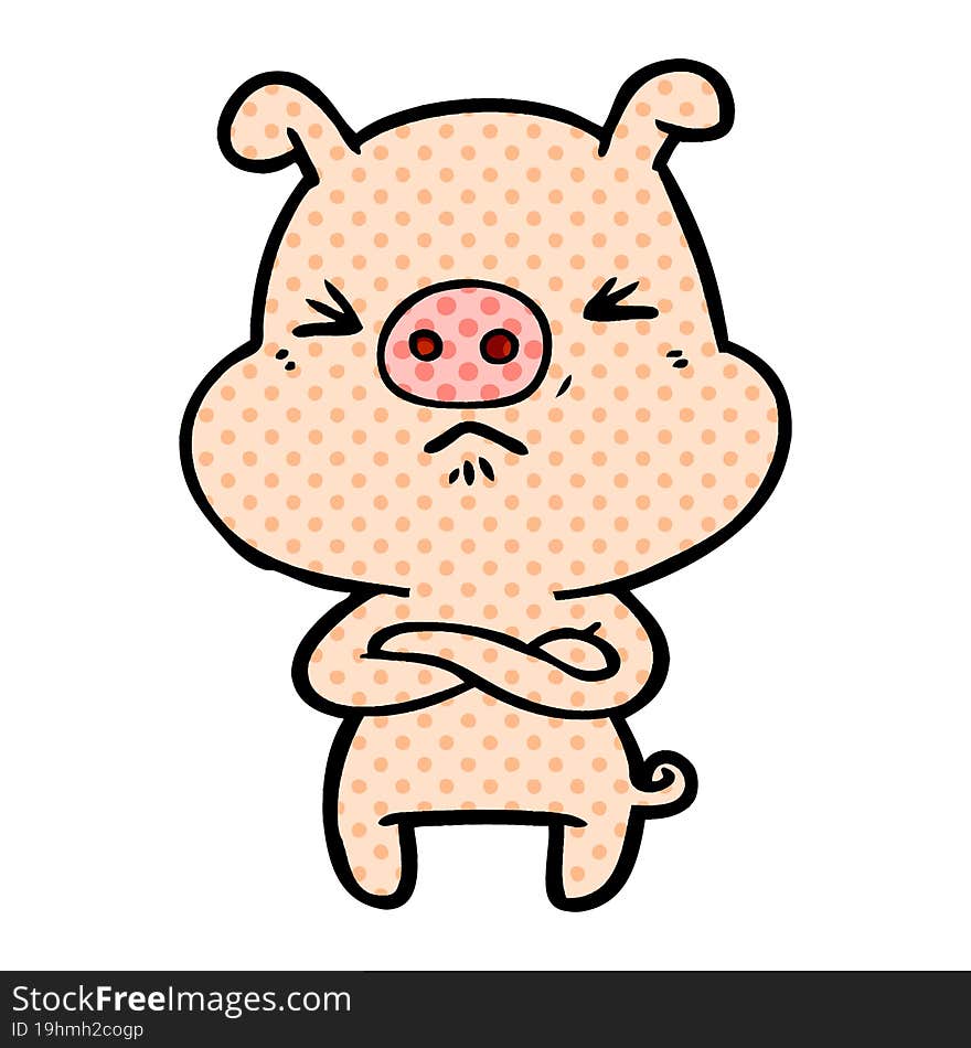 cartoon angry pig. cartoon angry pig