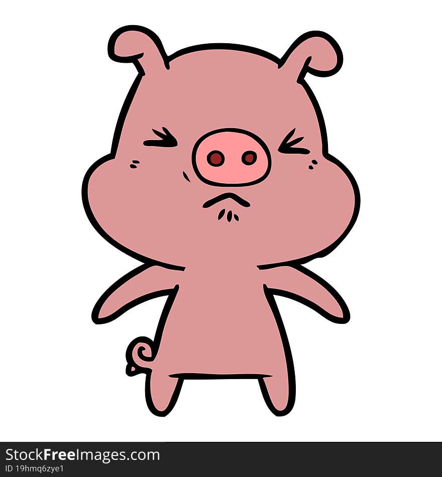 cartoon angry pig. cartoon angry pig