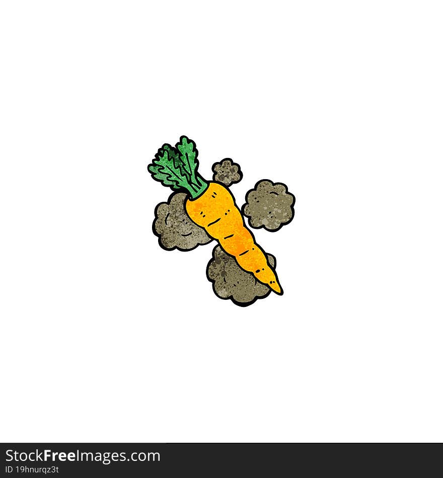 cartoon organic carrot