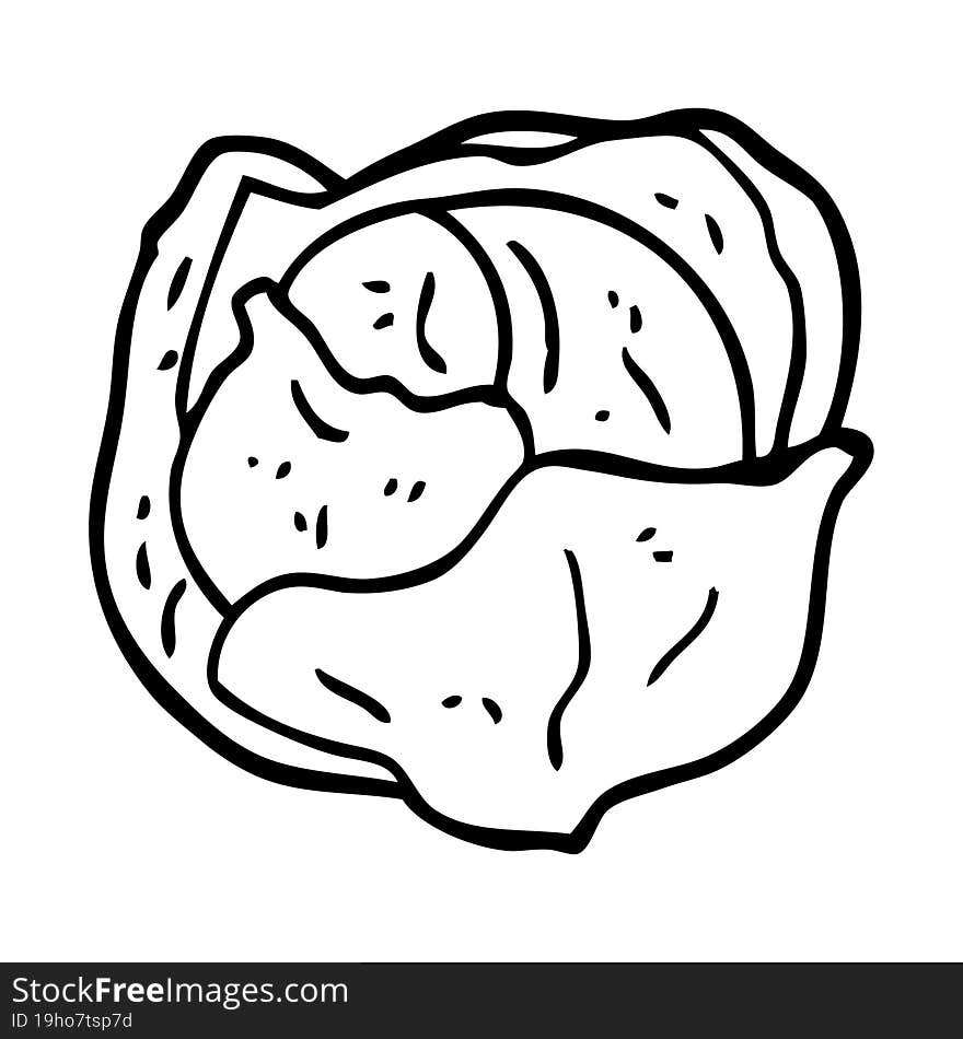 line drawing cartoon cabbage