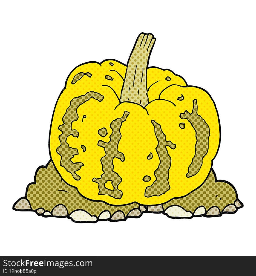 cartoon squash