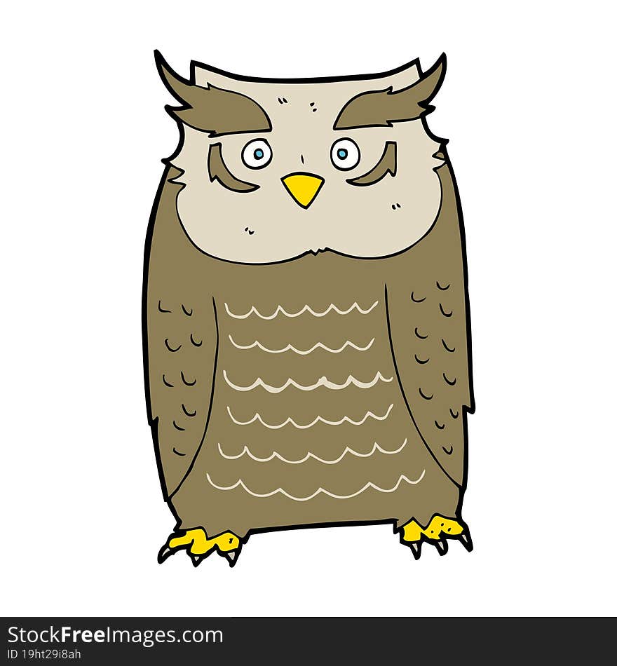 cartoon owl