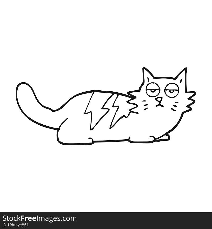 Black And White Cartoon Cat