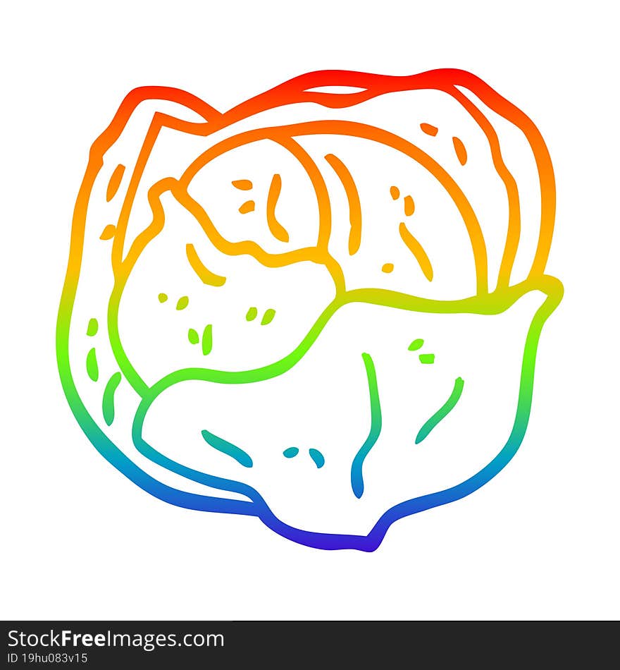 rainbow gradient line drawing of a cartoon cabbage