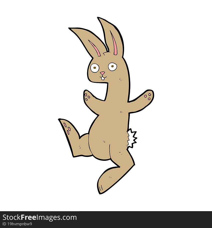 funny cartoon rabbit