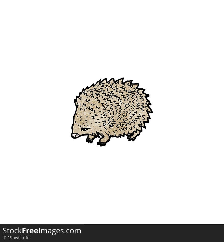 Hedgehog Illustration