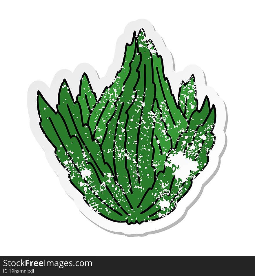 distressed sticker of a quirky hand drawn cartoon lettuce